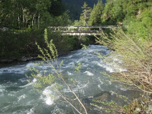 p5310007.jpg